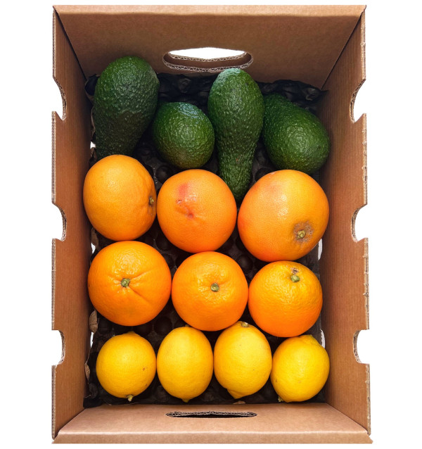 Caja de Aguacates, pomelos, naranjas y limones - Comprar del agricultor