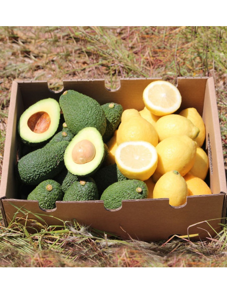 Limones y Aguacates online al mejor precio