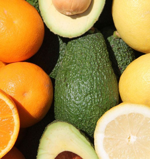 Pequeno almoço com abacates: abacates, laranjas e limões