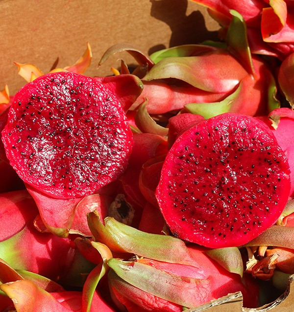 Comprar Pitahayas Online | Fruta del dragón fresca y llena de sabor 2