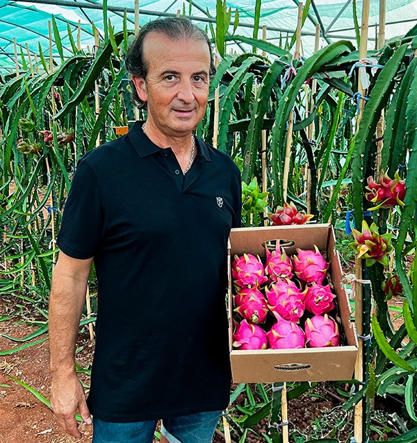Acquista Pitahaya Online | Gusto Esotico Direttamente a Casa Tua