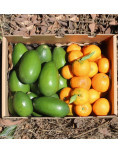 Pack abacates de pele lisa e mandarinas