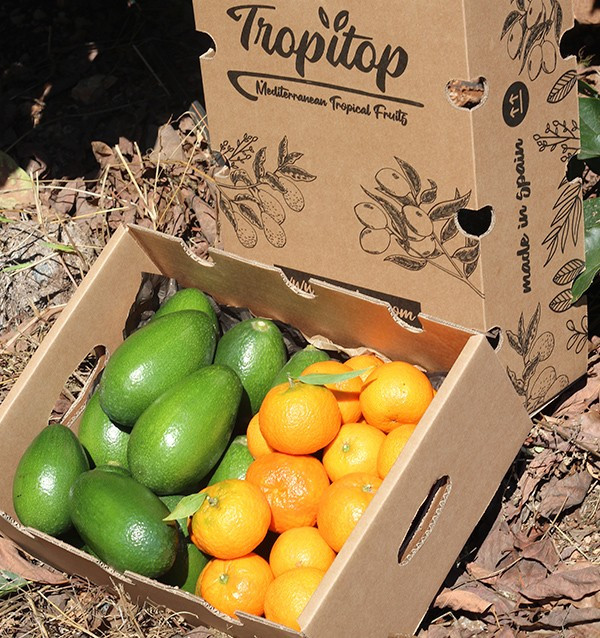 Buy clementines and avocados bacon