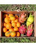 Paket mit mandarinen und drachenfrucht