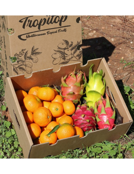 Tangerine and pitahaya