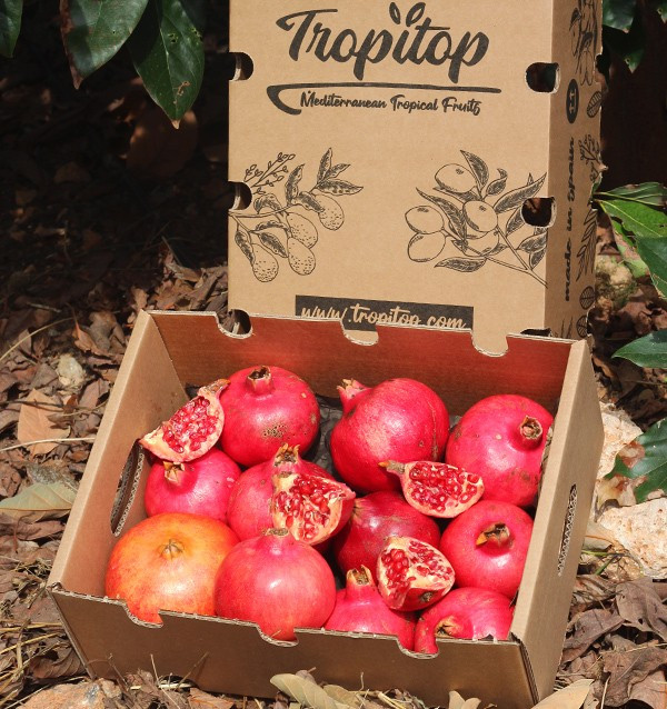 Comprar granadas online en Tropitop