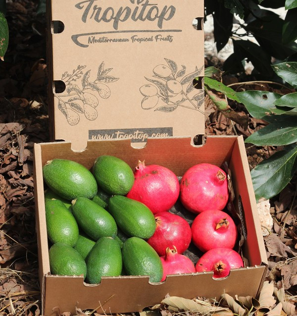 Pack aguacates piel lisa y granadas