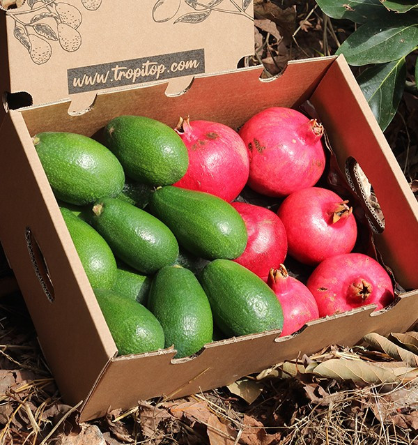 Buy pomegranates and avocados