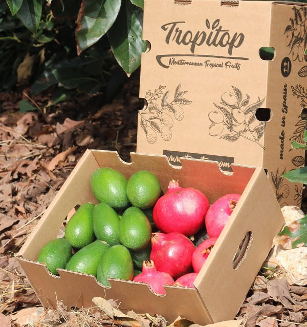 Grenades et des avocats