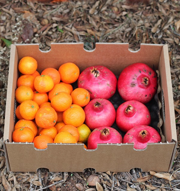 Pomegranates and mandarins