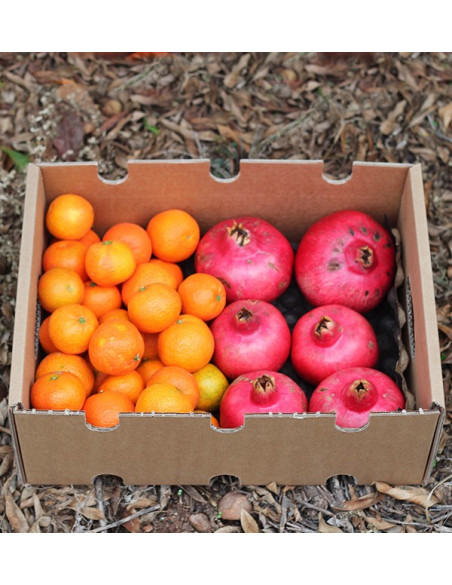 Pomegranates and mandarins