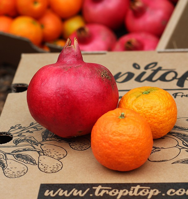 Pomegranates and mandarins
