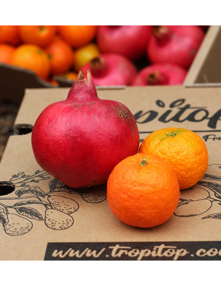 Pomegranates and mandarins