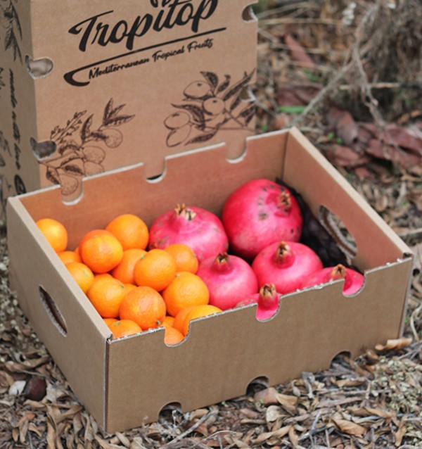 Granatäpfel und Mandarinen - Tropitop