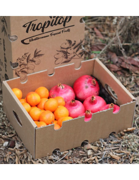 Pomegranates and mandarins