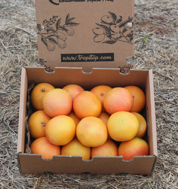 Buy Grapefruits online