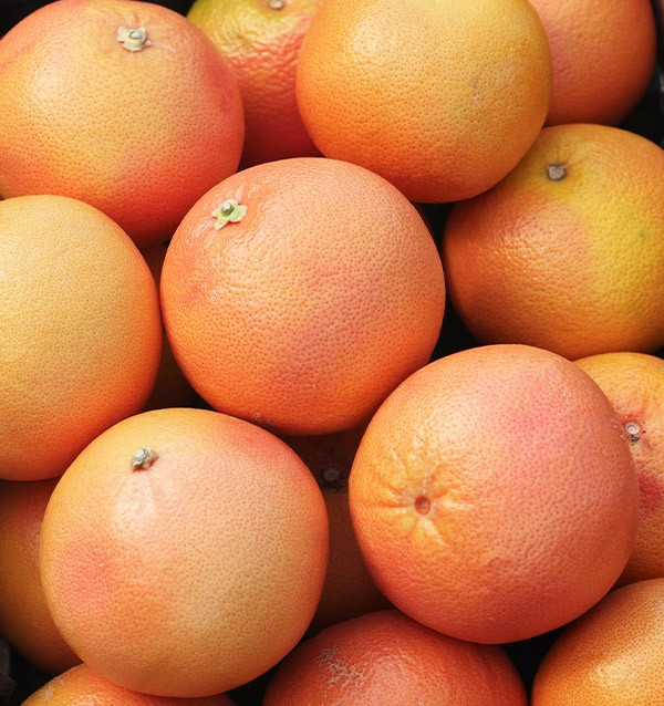 Buy Grapefruits online
