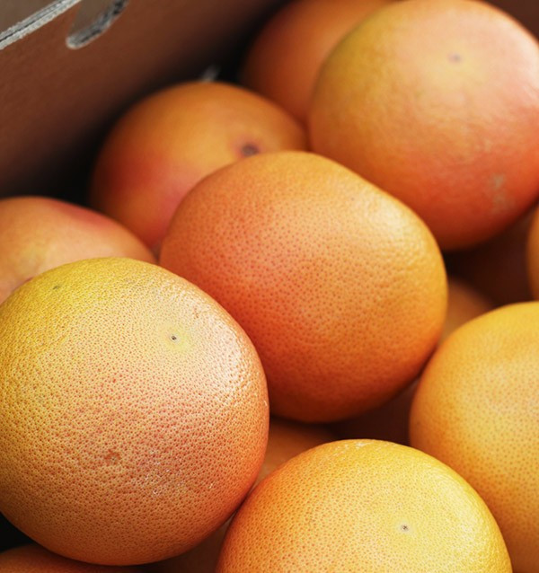 Compre toranja online