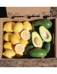 Paket Avocados mit glatter Schale und Zitronen