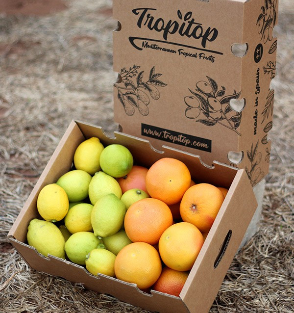 Lemons and grapefruits