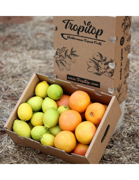Grapefruit und Zitronen kaufen