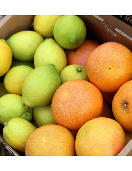 Grapefruit und Zitronen kaufen