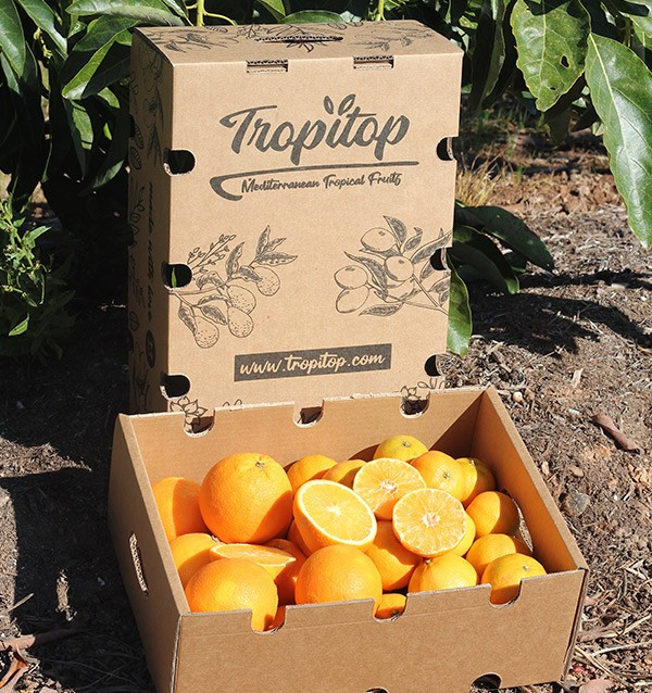 Clementine e arance | Tropitop