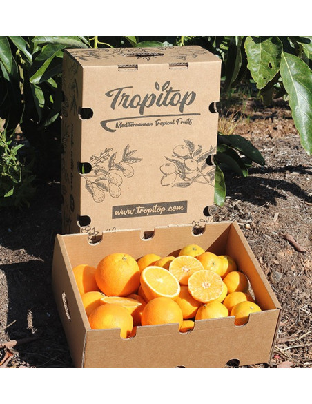 Clementine e arance | Tropitop