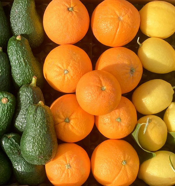 Frühstück mit Avocados: Paket Avocados, Zitronen und Orangen