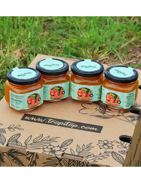 Buy Artisanal Mango Jam With and Without Sugar | Tropitop