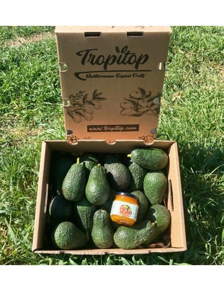 Hass-Avocados und Mango-Konfitüre | Bestellen aus Spanien - Tropitop