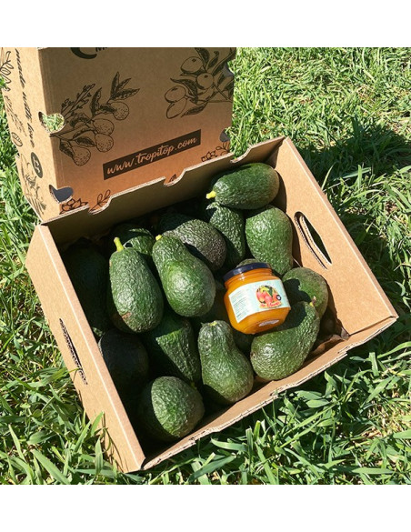 Avocats Hass et confiture de mangue