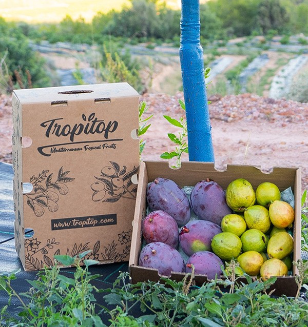 Buy Guavas and Mangos