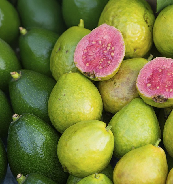 Acheter des Avocats à Peau Lisse et des Goyaves