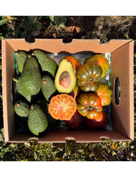 Acheter Avocat Hass et Tomate Raf en ligne chez Tropitop