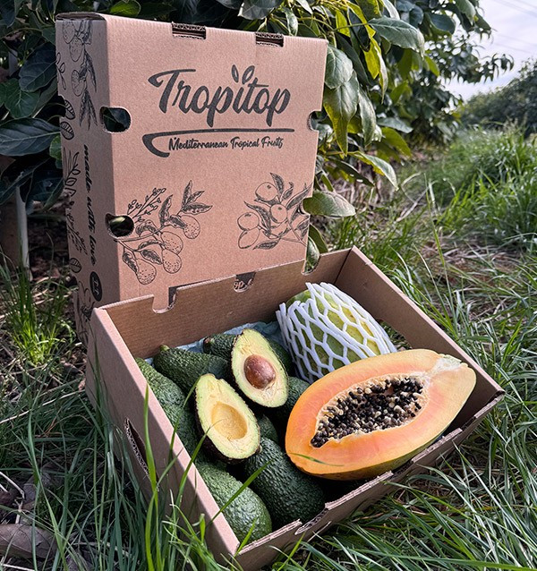 Comprar Aguacate Hass y Papayas | Sabor Cremoso y Exótico en Tropitop