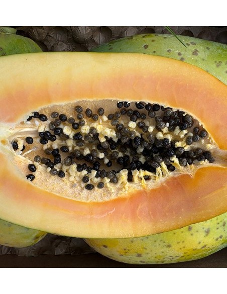 Comprar Papayas Online | Descubre el sabor exótico y los beneficios para la salud