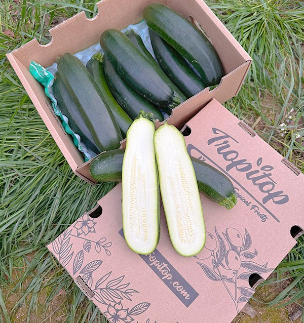 Acquista Zucchine Verdi o Nere Online su Tropitop