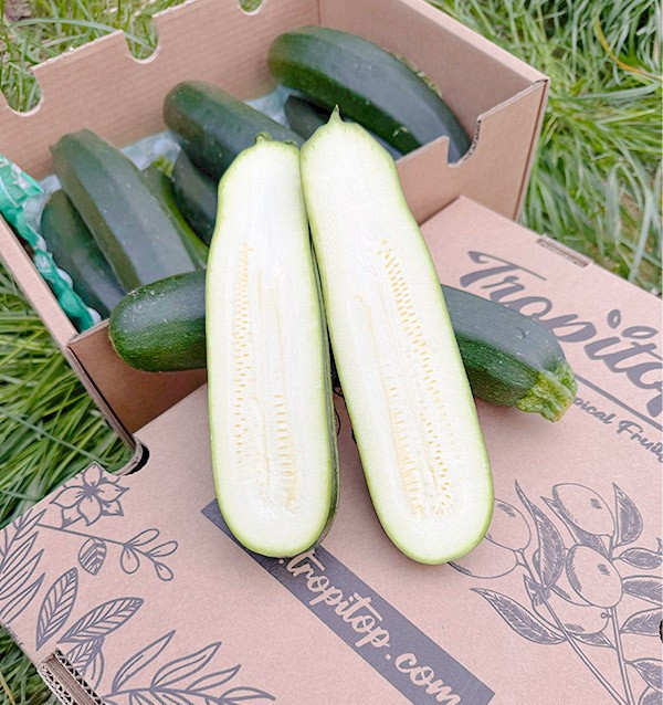 Acheter Courgette Verte ou Noire en Ligne sur Tropitop