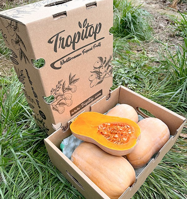 Acquistare zucca butternut online su Tropitop