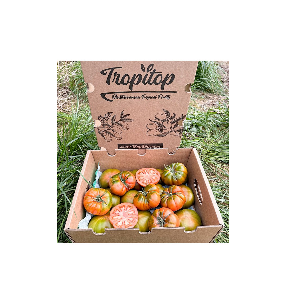 Tomate Raft Tomaten Raf online bei Tropitop kaufen