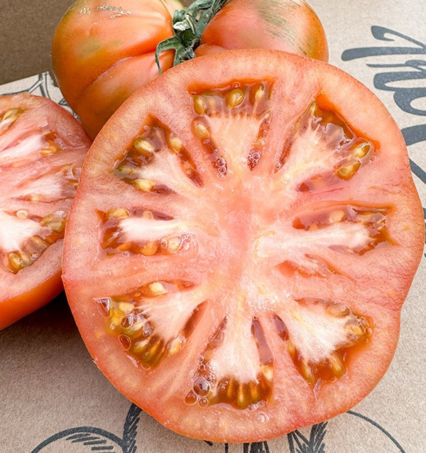 Tomaten Raf online bei Tropitop kaufen