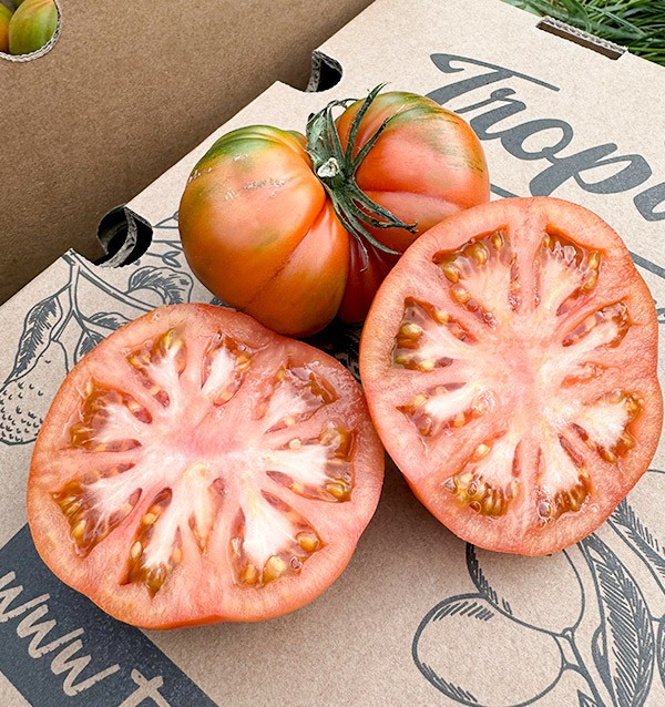 Buy Raf Tomato Online at Tropitop
