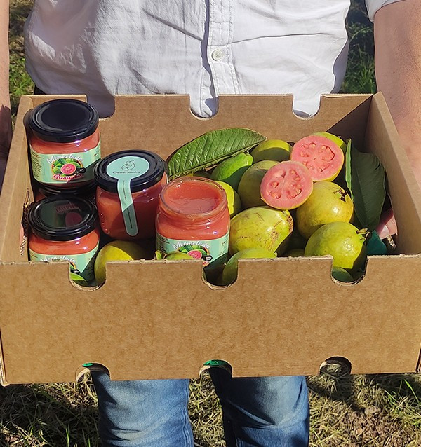 Acheter Confiture de Goyave Naturelle | Artisanale et Bio | Tropitop