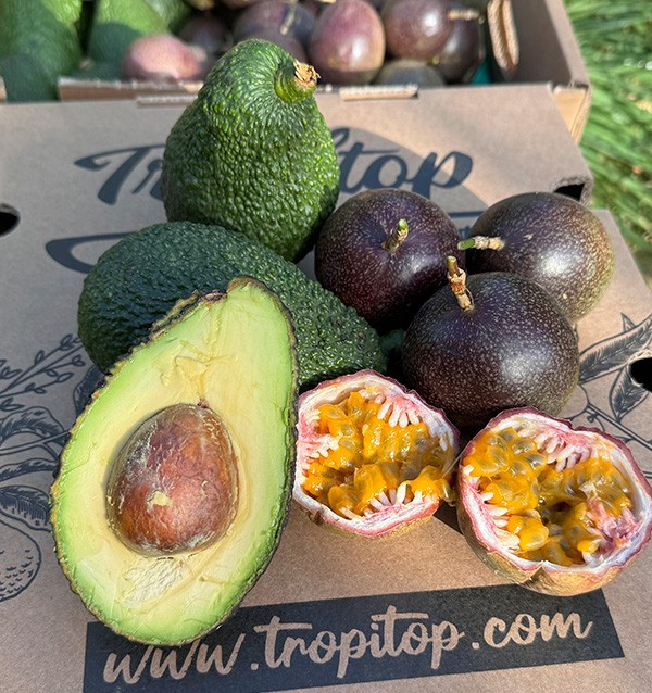 Comprar Fruta de la Pasión y Aguacates Hass | Frescura y Sabor Exótico en Tropitop