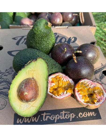 Passionsfrucht und Hass-Avocados kaufen | Frische & Exotischer Geschmack bei Tropitop