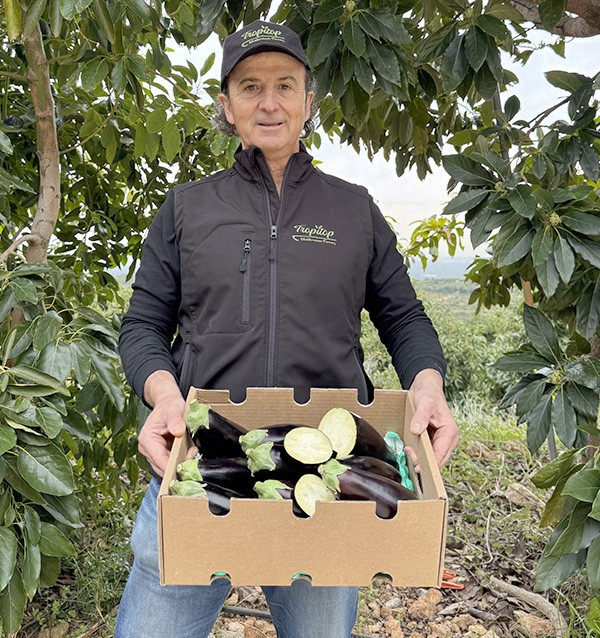 Acquista Melanzana Nera Online su Tropitop