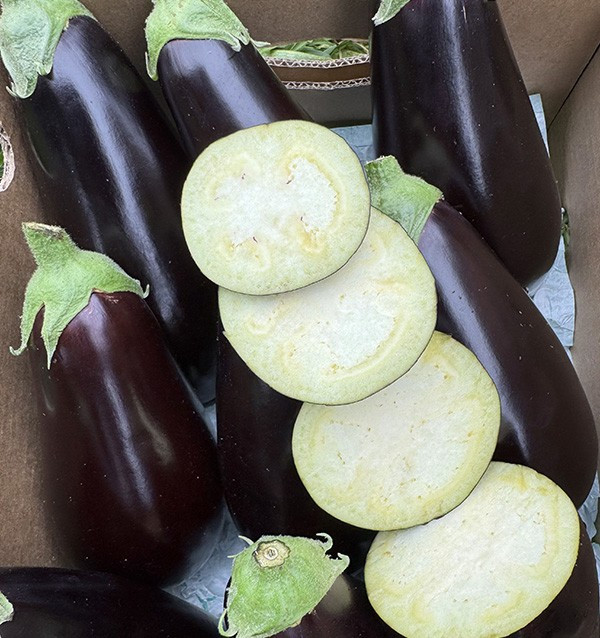 Acheter Aubergine Noire En Ligne chez Tropitop