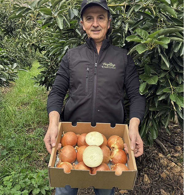 Acheter des Oignons Secs Blancs en Ligne sur Tropitop