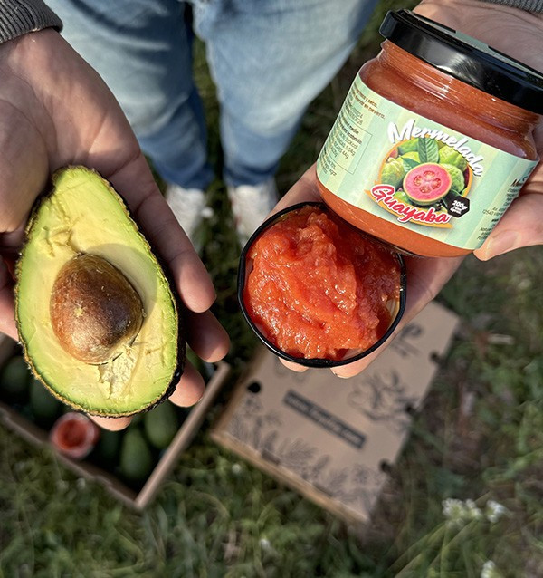 Comprar Abacates Hass e Doce de Goiaba Natural | Tropitop